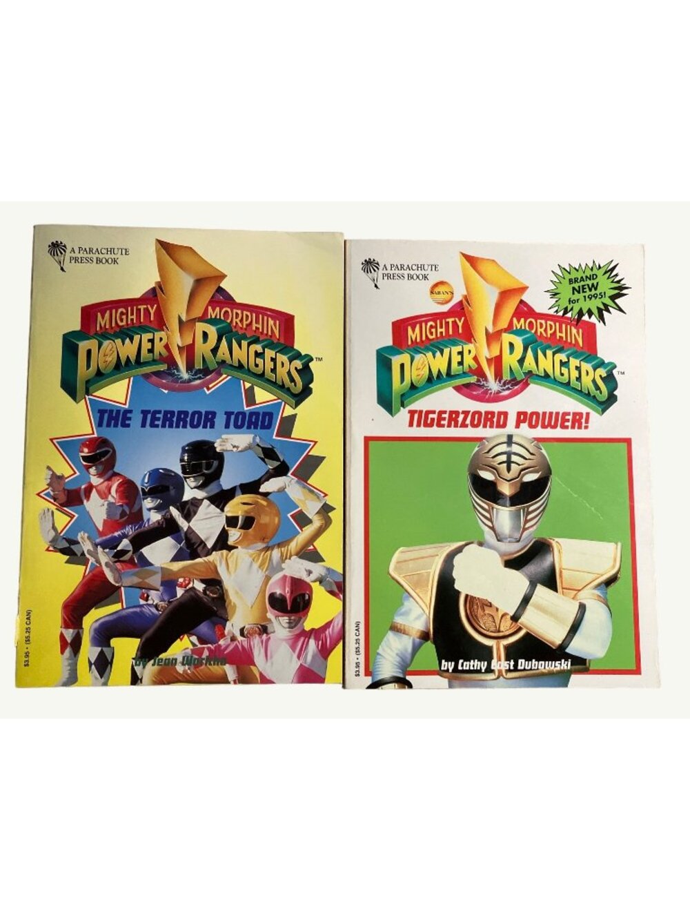 Mighty Morphin Power Rangers Vintage Books  Lot of 2